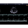 Cardiovascularis ultrahang - Accuvix A30